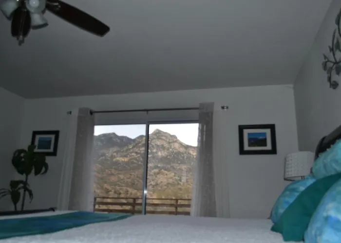 Shady Knoll